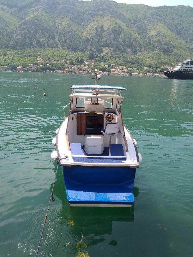 Apartment Kralj Kotor Buitenkant foto